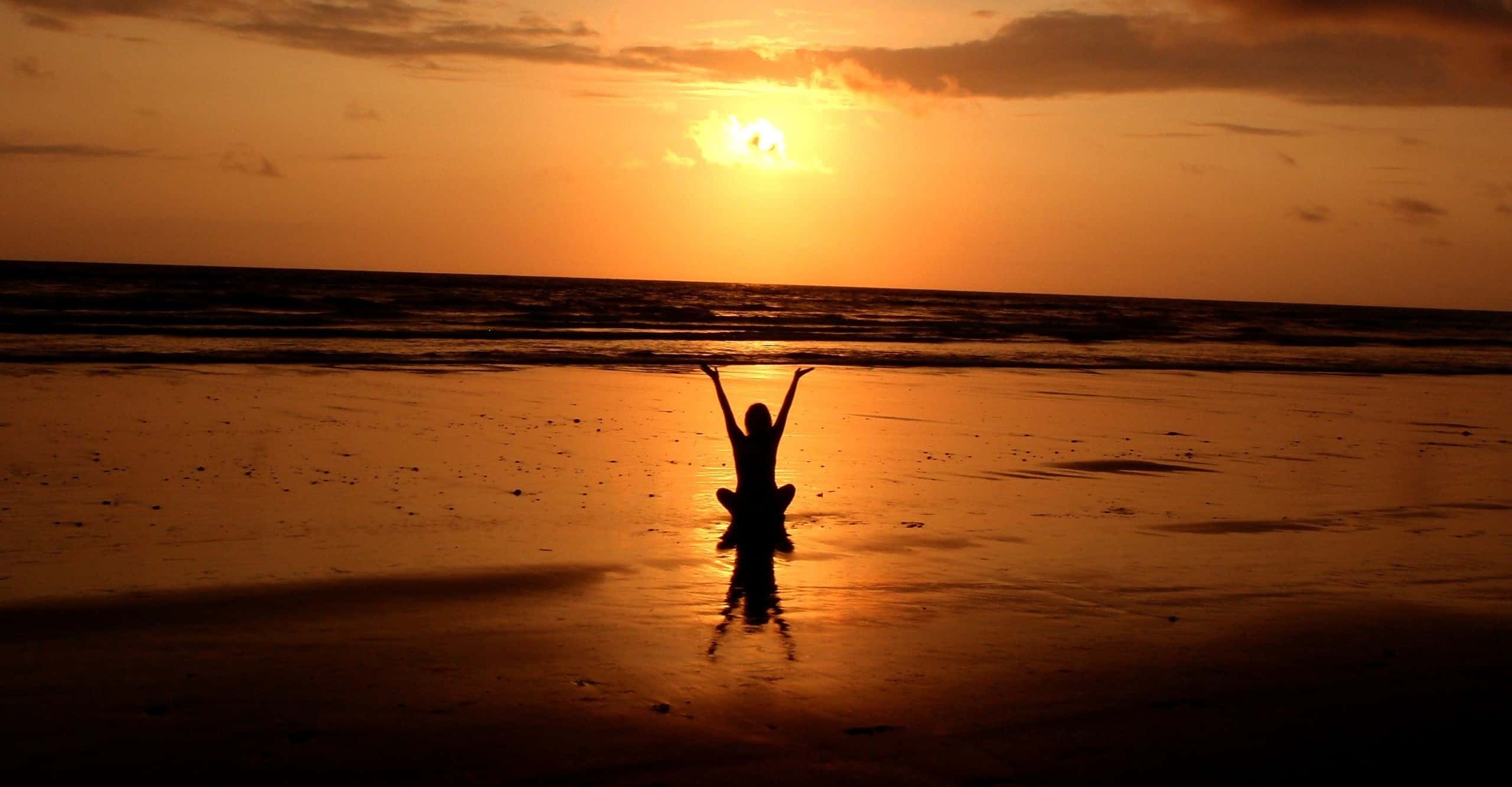 Méditation, créativité, paix - le film des conférences de David Lynch